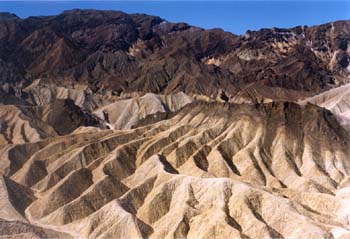 zabriskie1